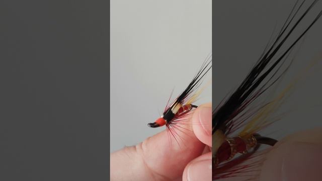 Salmon fly