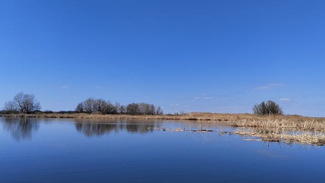 Апрель. Чистота