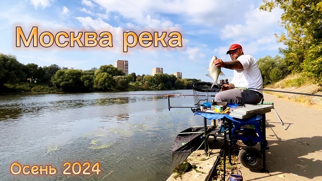Москва река. Фидер Осень 2024 #рыбалка