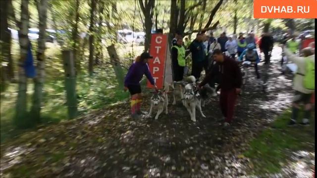 Соревнования по бесснежным видам спорта провели в Силинском парке.