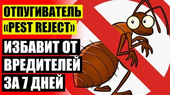 Отпугиватель мышей ультразвуковой Торнадо отзывы 🔴