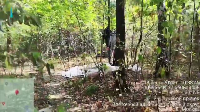 Палаточныгородок мигрантов в  парке в Сокольниках