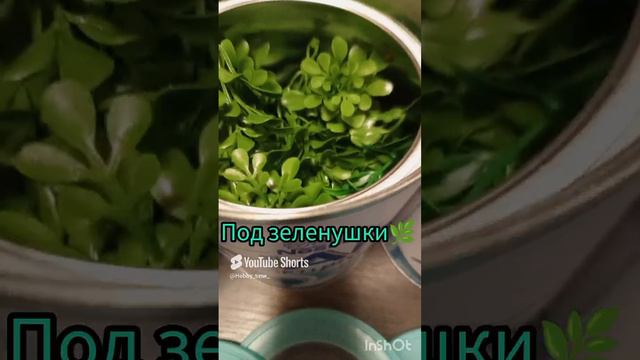 банки из-под смеси,применение