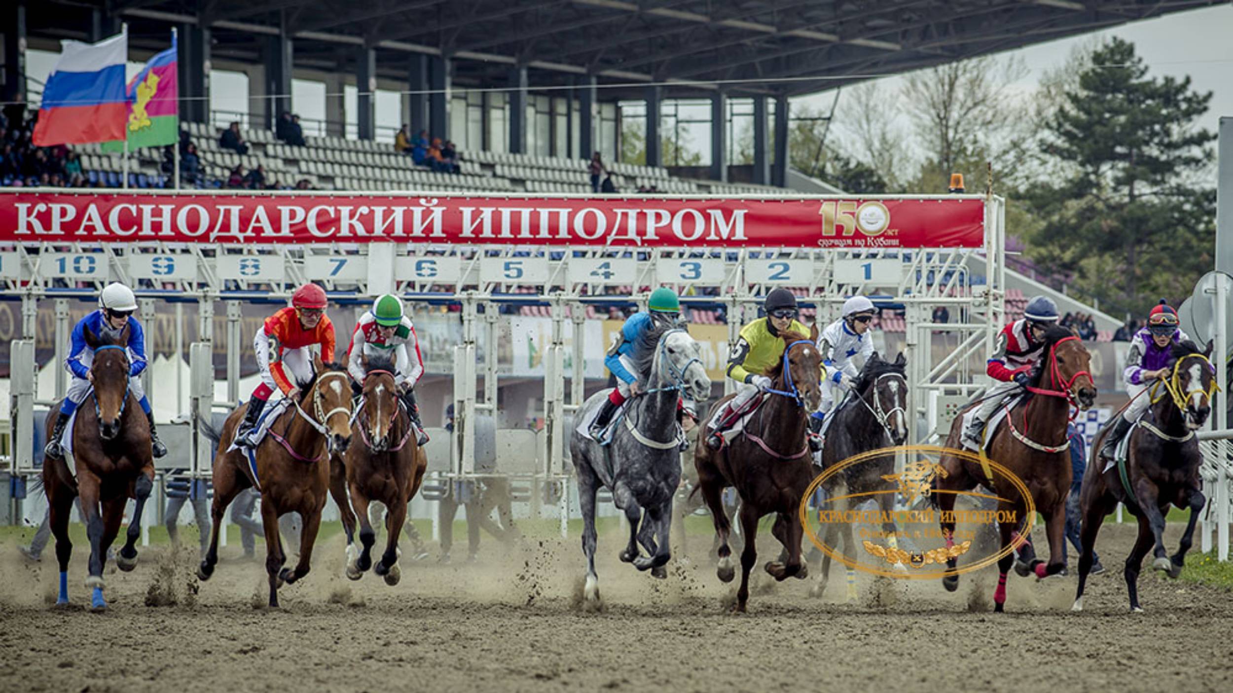 «Кубок Насибова. Скачки на Краснодарском ипподроме 21.09.2024г.»