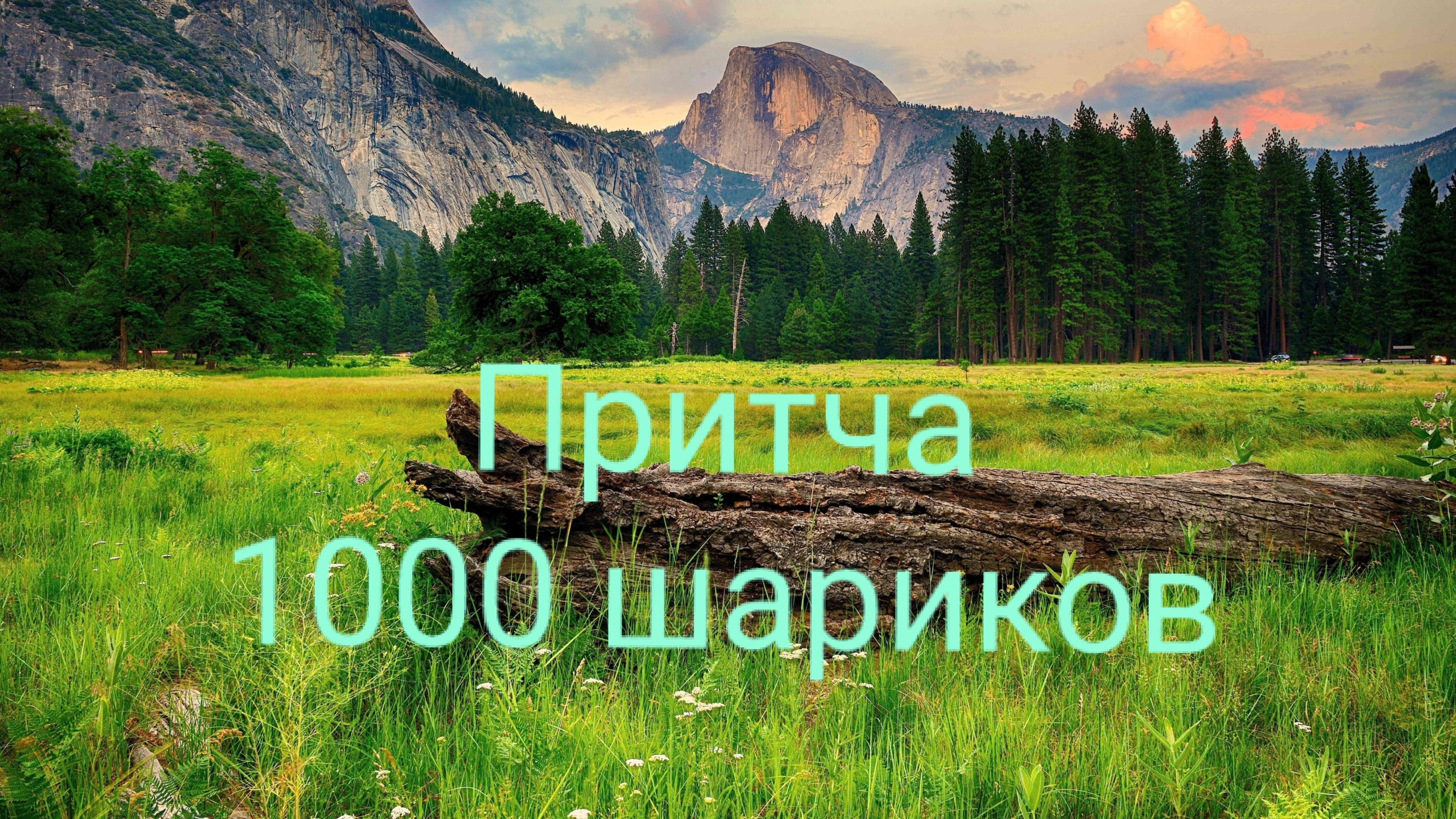 Ответы на твои вопросы 💕.                     #притча #мудраякнига #мудрость #любовь #1000шариков