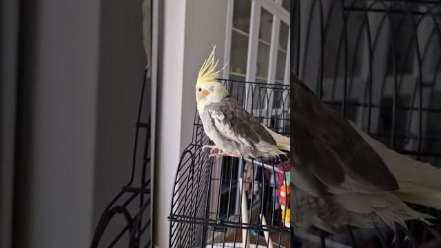 1000009253.mp4