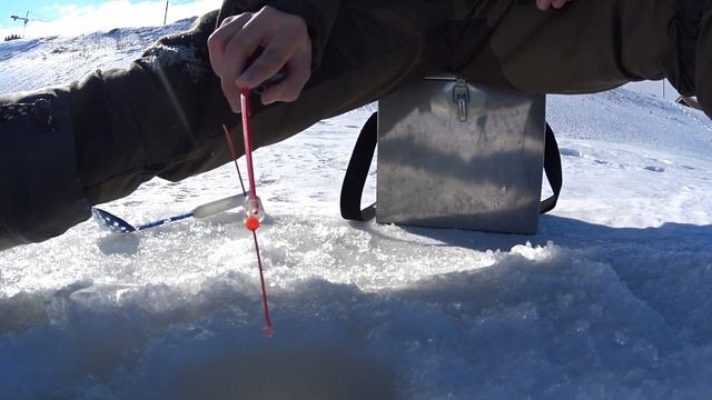 Ловля ерша и окуня. Закрытие твёрдый воды, февраль 2021