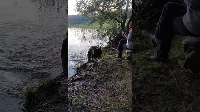 Прекрасные воспоминания об отпуске ❤️