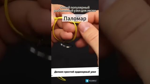 1__узел паломар