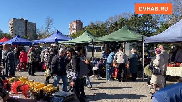 Фермерская ярмарка выходного дня заработала у цирка