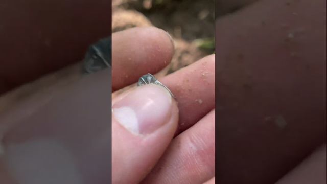Нашел копейку Михаила Фёдоровича 🔥 Поиск с металлоискателем