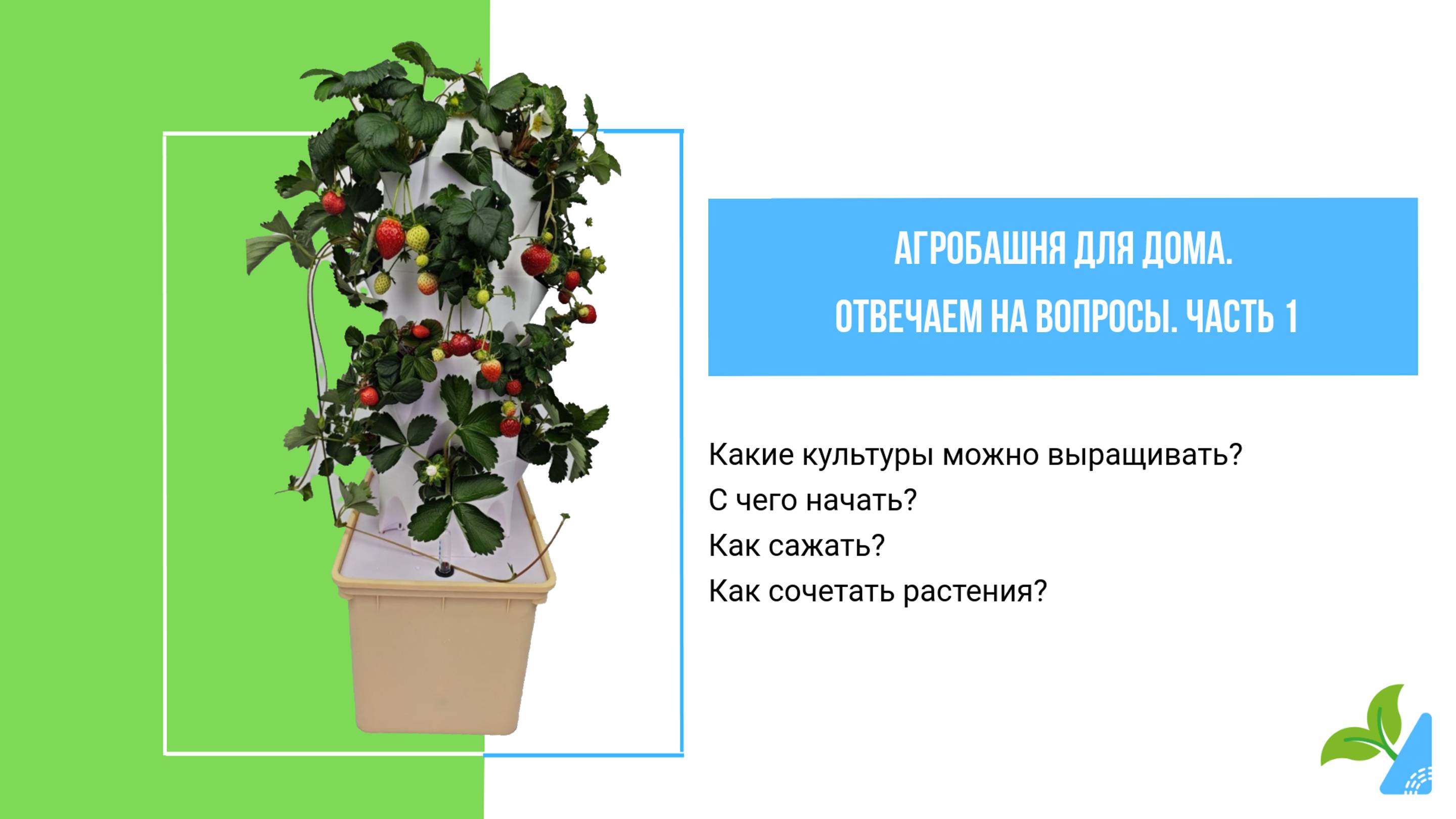 АгроБашня. Отвечаем на вопросы. Часть 1.
Что выращивать?
С чего начать?
Как сажать?
#аэропоника