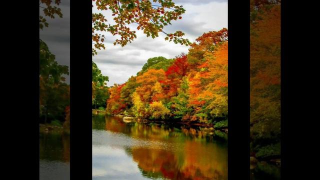 🧡Песни для вайба🍂