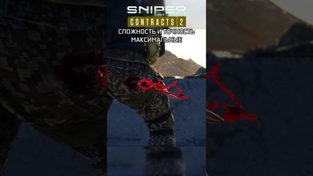 СНАЙПЕР \ УЗЕЛ СВЯЗИ \ Sniper Ghost Warrior Contracts 2