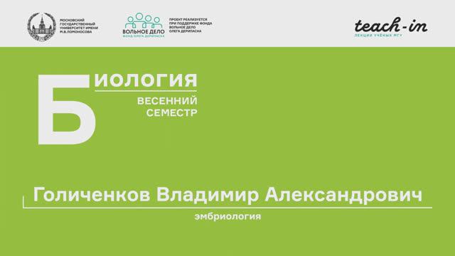 1. Введение. Эмбриология - Голиченков В. А. Teach-in.