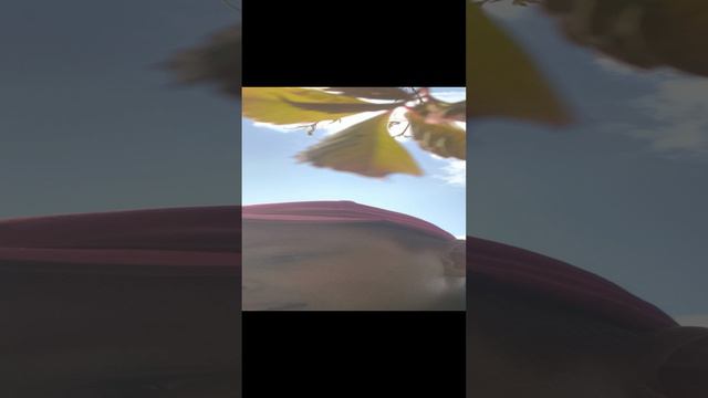1000009788.mp4