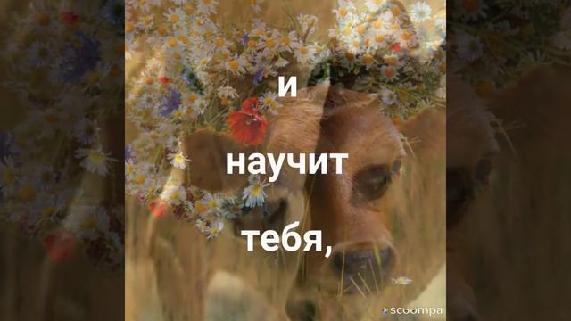 ГОСПОДЬ БОГ - СОЗДАТЕЛЬ И ТВОРЕЦ (БИБЛИЯ)