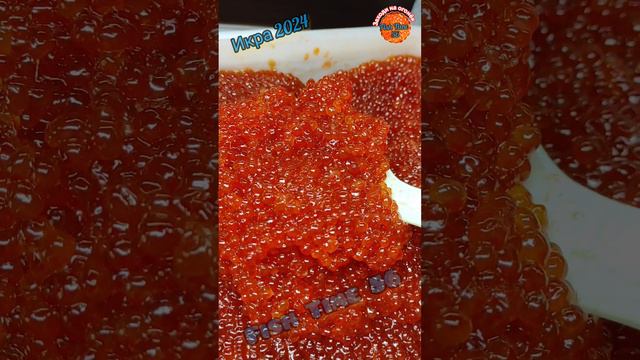fish_time_56_ikra24.mp4