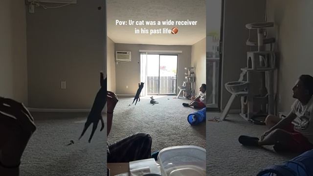 McCatfree does it again! ( by la._.reina62 via TikTok)