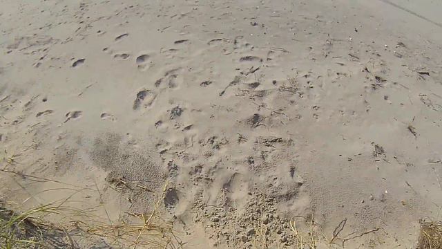 Walk Out on the Beach -  After Hurricane Florence #EIStrong  - Emerald Isle, NC - Sept 21, 2018