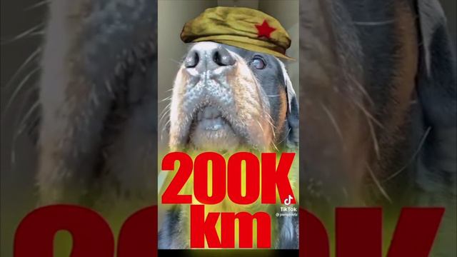 200 000 км железной дороги до 2035