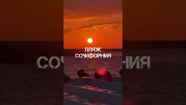 Лучшие места, где можно встретить закат в Сочи