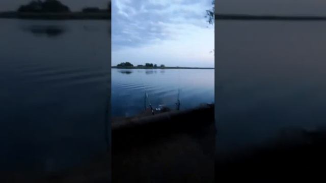 #рыбалка #fishing