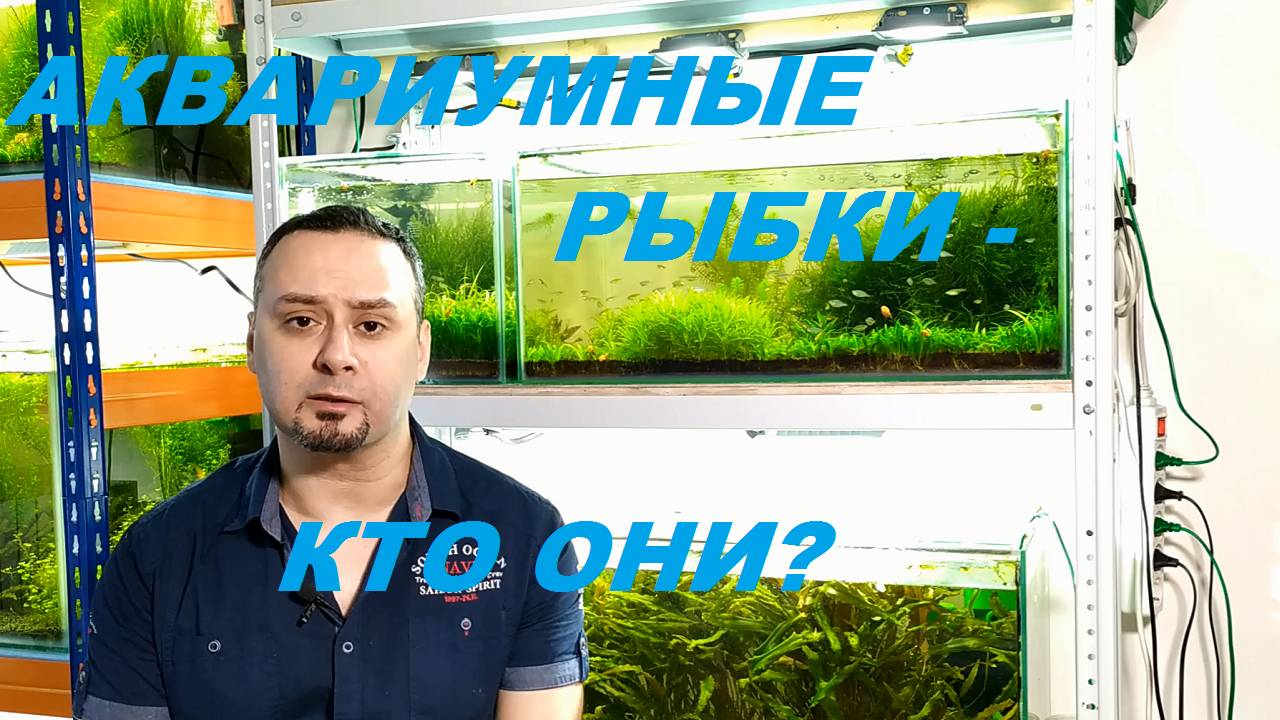 Кто такие Аквариумные Рыбки (Архив от 13.04.2024)