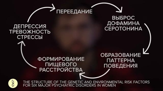 Причины ПЕРЕЕДАНИЯ. Кто ВИНОВАТ?