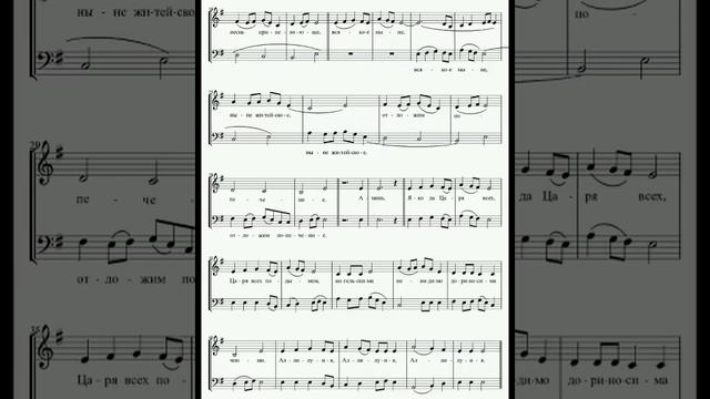 Херувимская песнь N5 Холомеев А. В. (480p).mp4