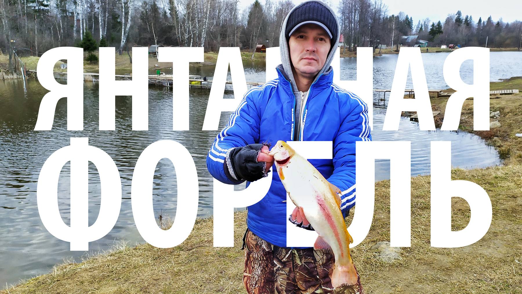 Поймал янтарную форель! Форелевый сезон в разгаре. #рыбалка