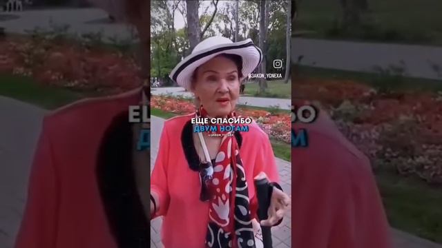 о Жизни