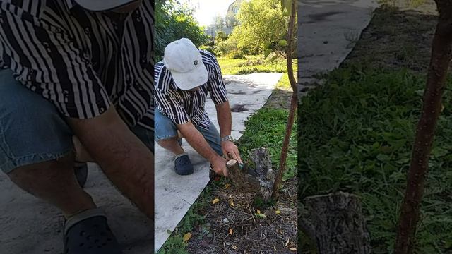 Тест электро мини пилы