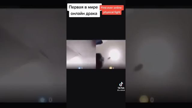 Забавные Видео