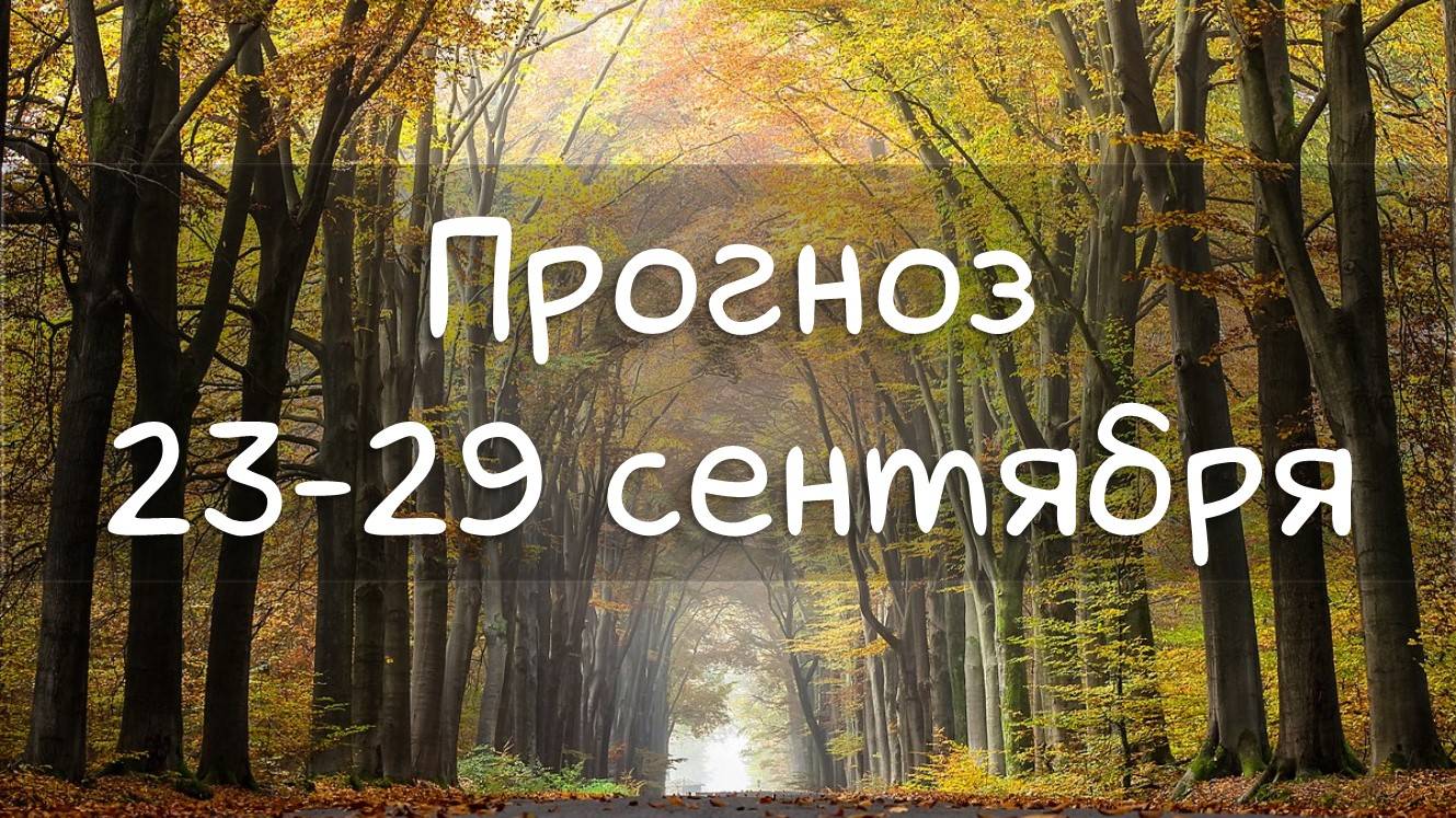 ГОРОСКОП НА НЕДЕЛЮ 23-29 сентября. Венера в Скорпиона. Меркурий в Весы.