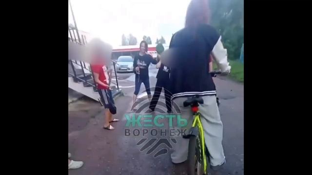 В Воронеже женщина мешала играть детям  кричала на них, а потом напала на девочку, схватив её за вол