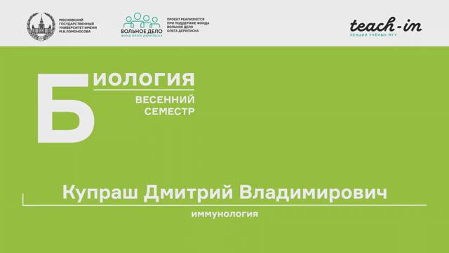 2. Клеточная структура иммунной системы. Иммунология - Купраш Д. В. Teach-in.