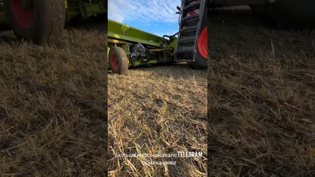 CLAAS TRION 730 #shorts