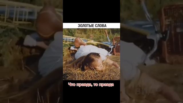 Всё равно лучшн