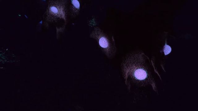 Звуки окружения Subnautica