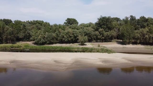 База Лес и Рыба Рыба .