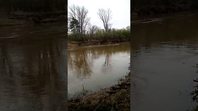 Вернулись за находками