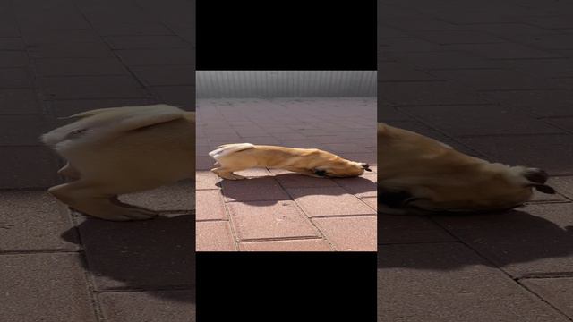 21-09-2024