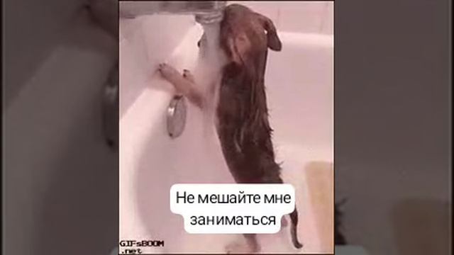 не мешайте мне заниматься