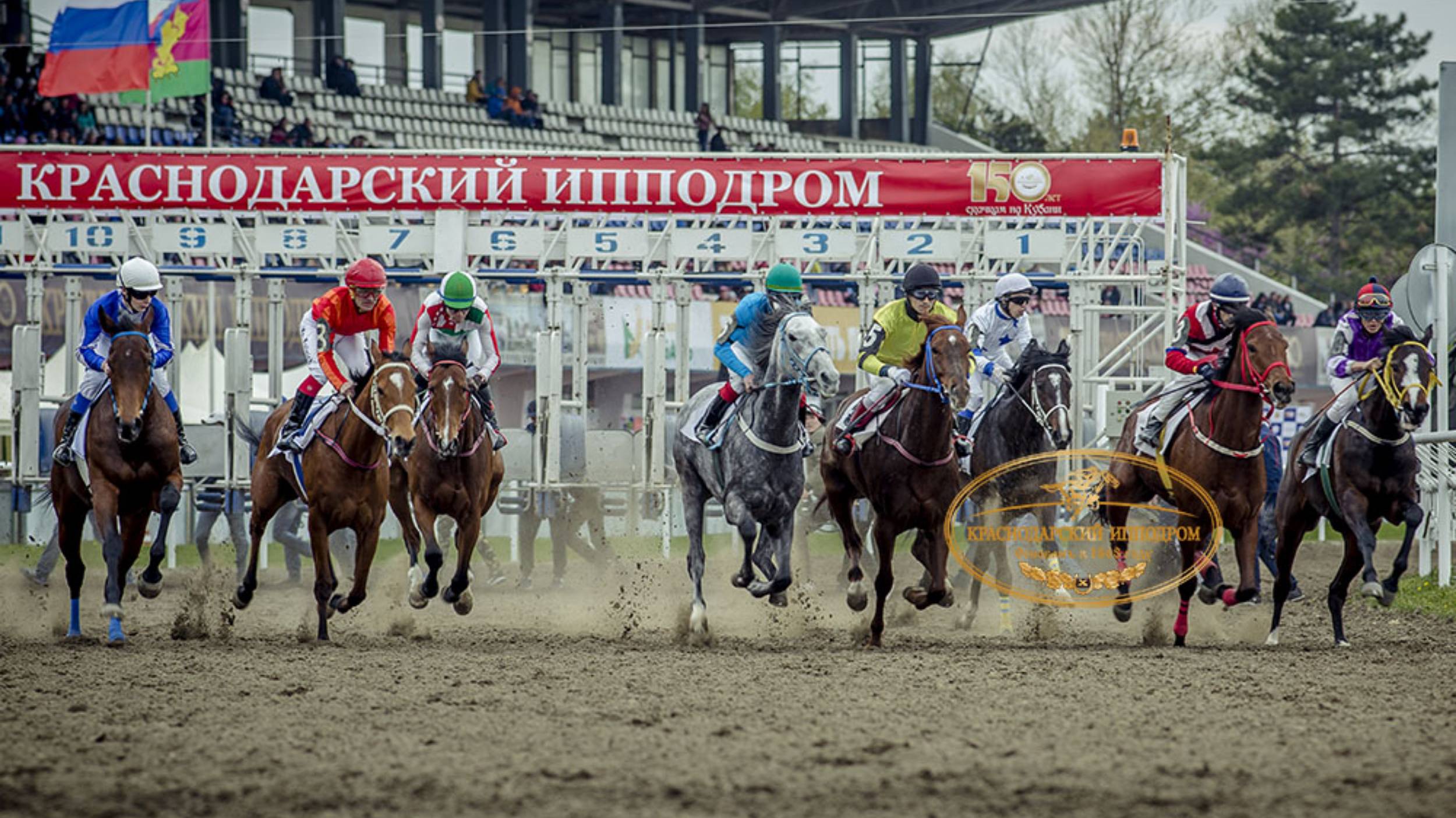 «Кубок Насибова. Скачки на Краснодарском ипподроме 21.09.2024г.»