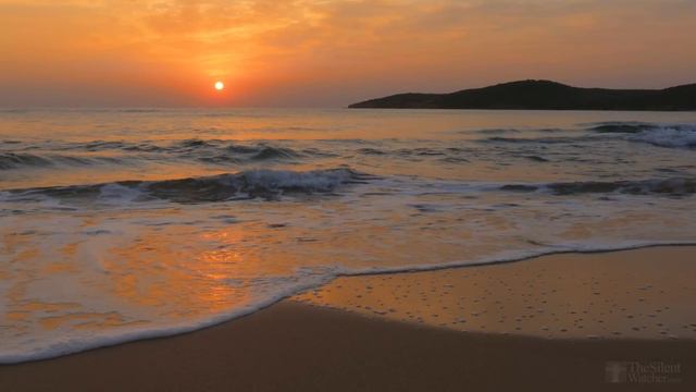 Golden Sunrise - Nature Relaxation Video - Relaxing Sea Ocean Waves Sounds