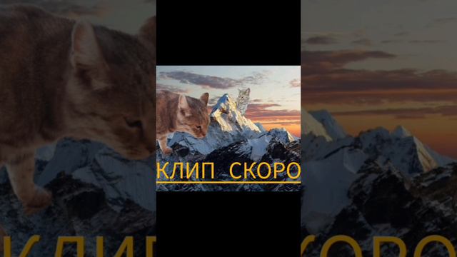 клип скоро