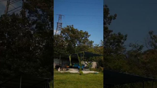 1000031346.mp4
