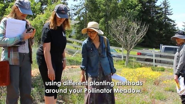 Passport to Nature - Creating  a Pollinator Meadow (with TLC's Lisa Cross)