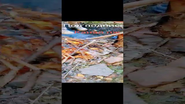 video-70e59d5c19c7a459ffbbd03e2564cbf5-V~2.mp4